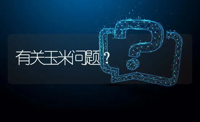 有关玉米问题? | 养殖问题解答