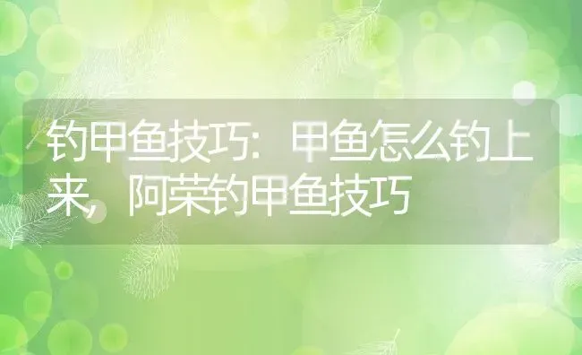 钓甲鱼技巧:甲鱼怎么钓上来,阿荣钓甲鱼技巧 | 养殖常见问题