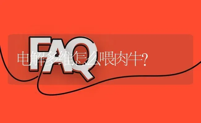 电解多维怎么喂肉牛? | 养殖问题解答