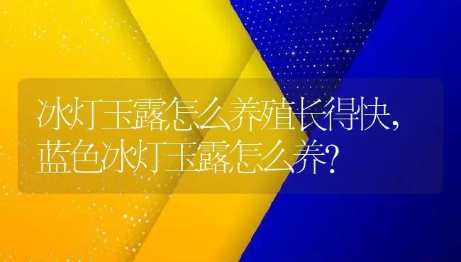 冰灯玉露怎么养殖长得快,蓝色冰灯玉露怎么养？ | 养殖常见问题