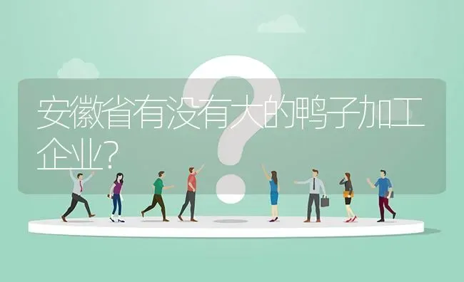 安徽省有没有大的鸭子加工企业? | 养殖问题解答