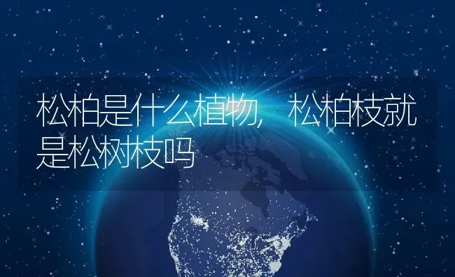 火龙果花能吃吗有什么功效与作用,火龙果分雄花和雌花吗？雄花有什么功效 | 养殖常见问题