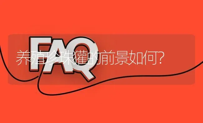 养殖珍珠獾的前景如何? | 养殖问题解答