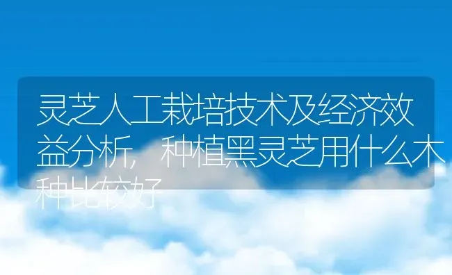 灵芝人工栽培技术及经济效益分析,种植黑灵芝用什么木种比较好 | 养殖常见问题