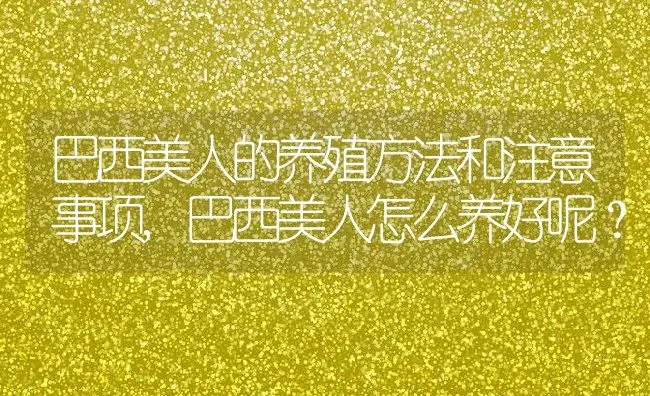 巴西美人的养殖方法和注意事项,巴西美人怎么养好呢？ | 养殖常见问题