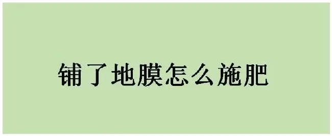 铺了地膜怎么施肥 | 生活常识