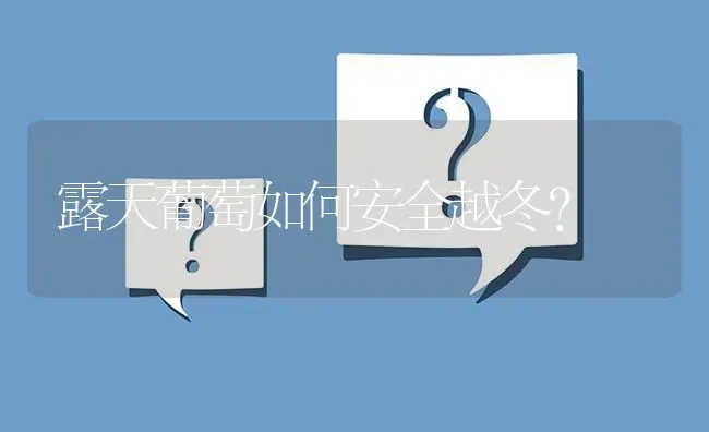 露天葡萄如何安全越冬? | 养殖问题解答