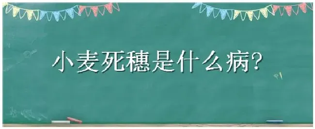 小麦死穗是什么病 | 三农问答