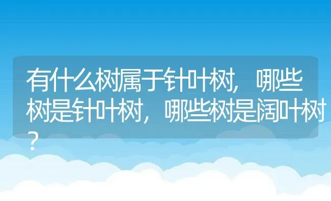 有什么树属于针叶树,哪些树是针叶树，哪些树是阔叶树？ | 养殖常见问题