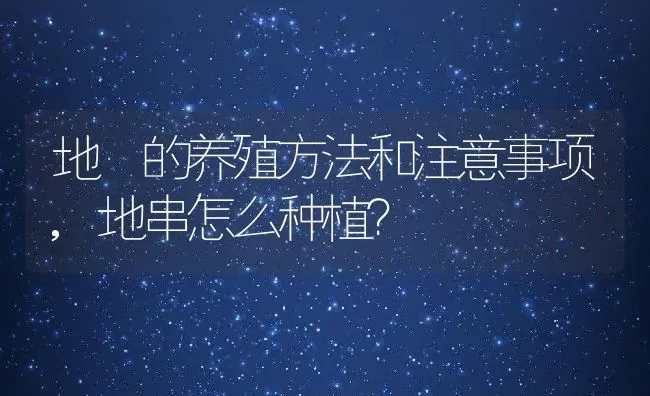 地菍的养殖方法和注意事项,地串怎么种植？ | 养殖常见问题