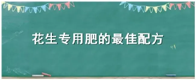 花生专用肥的最佳配方 | 三农问答