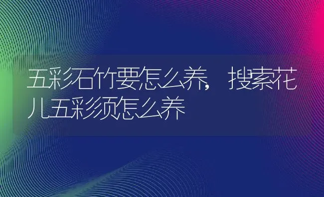 五彩石竹要怎么养,搜索花儿五彩须怎么养 | 养殖常见问题