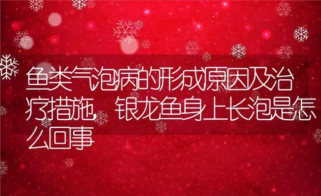 鱼类气泡病的形成原因及治疗措施,银龙鱼身上长泡是怎么回事 | 养殖常见问题