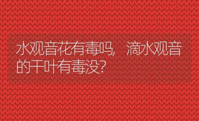 水观音花有毒吗,滴水观音的干叶有毒没？ | 养殖常见问题