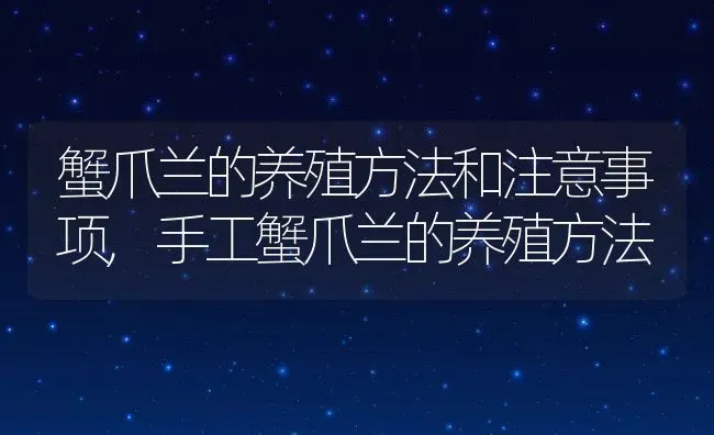 蟹爪兰的养殖方法和注意事项,手工蟹爪兰的养殖方法 | 养殖常见问题