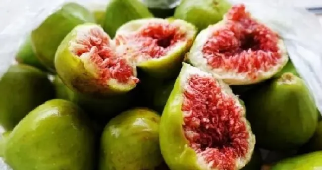 植物常识问题|无花果不结果怎么回事（无花果不结果总长叶是怎么回事）