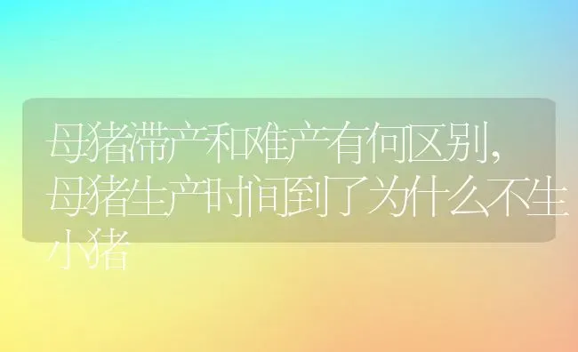 母猪滞产和难产有何区别,母猪生产时间到了为什么不生小猪 | 养殖常见问题