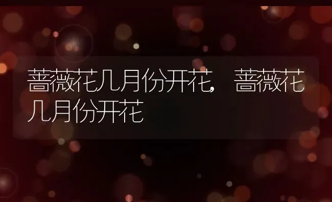 蔷薇花几月份开花,蔷薇花几月份开花 | 养殖常见问题