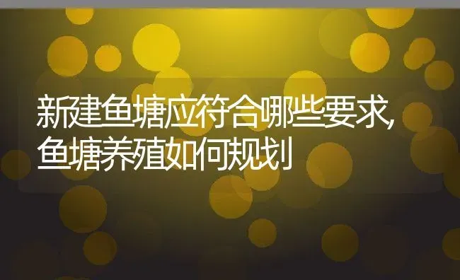 新建鱼塘应符合哪些要求,鱼塘养殖如何规划 | 养殖常见问题