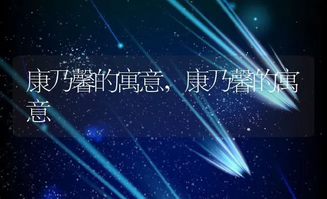 康乃馨的寓意,康乃馨的寓意 | 养殖常见问题