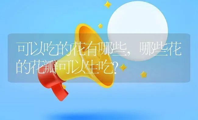 可以吃的花有哪些,哪些花的花瓣可以生吃？ | 养殖常见问题