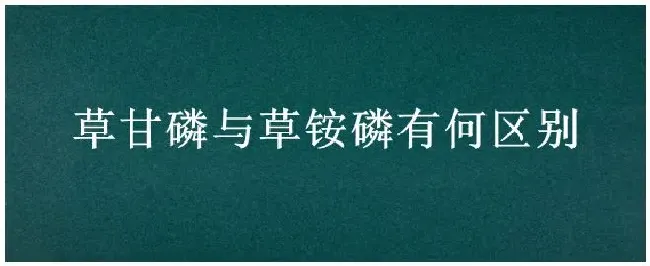 草甘磷与草铵磷有何区别 | 生活常识