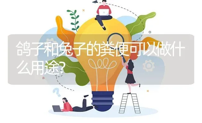 鸽子和兔子的粪便可以做什么用途? | 养殖问题解答