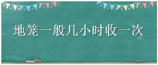 地笼一般几小时收一次 | 三农问答