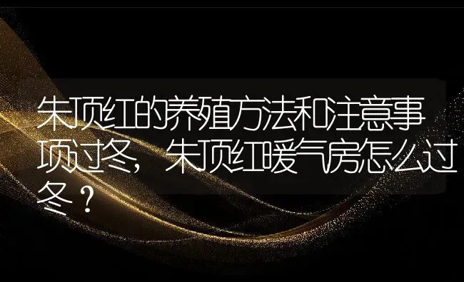朱顶红的养殖方法和注意事项过冬,朱顶红暖气房怎么过冬？ | 养殖常见问题
