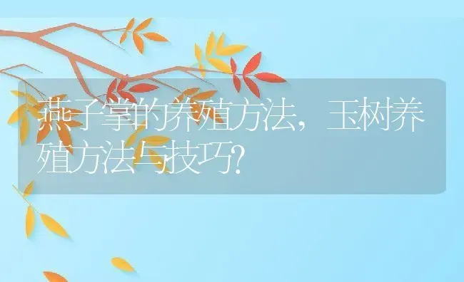 燕子掌的养殖方法,玉树养殖方法与技巧？ | 养殖常见问题