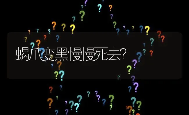 蝎爪变黑慢慢死去? | 养殖问题解答