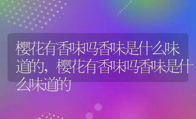 红花继木的养护方法,红花继木怎么养？ | 养殖常见问题