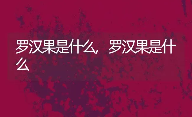 罗汉果是什么,罗汉果是什么 | 养殖常见问题