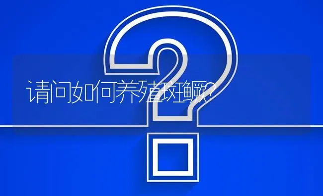 请问如何养殖斑鳜? | 养殖问题解答