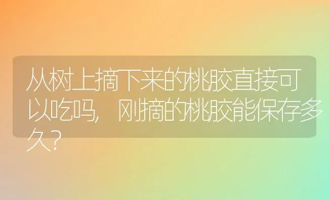 从树上摘下来的桃胶直接可以吃吗,刚摘的桃胶能保存多久？ | 养殖常见问题