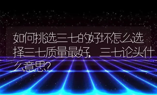 如何挑选三七的好坏怎么选择三七质量最好,三七论头什么意思？ | 养殖常见问题