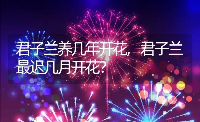 君子兰养几年开花,君子兰最迟几月开花？ | 养殖常见问题
