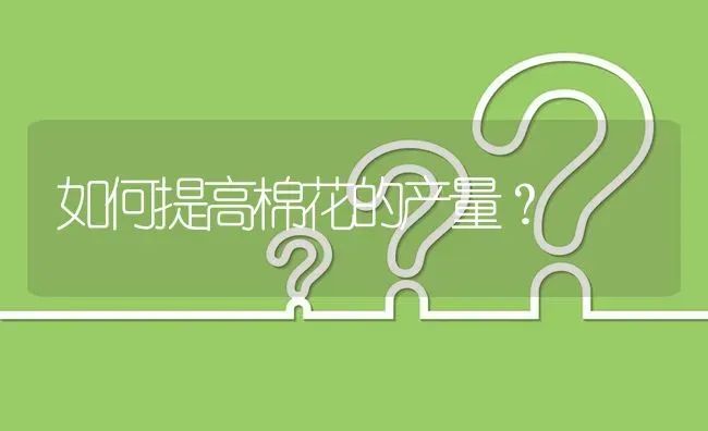 如何提高棉花的产量? | 养殖问题解答