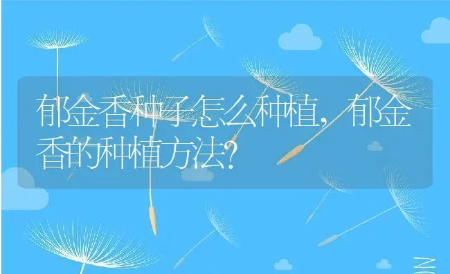 郁金香种子怎么种植,郁金香的种植方法？ | 养殖常见问题