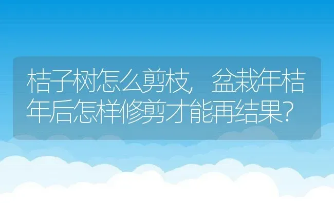 桔子树怎么剪枝,盆栽年桔年后怎样修剪才能再结果？ | 养殖常见问题