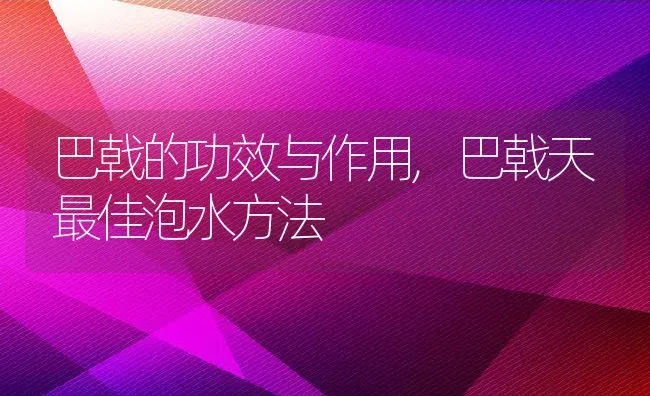 巴戟的功效与作用,巴戟天最佳泡水方法 | 养殖常见问题