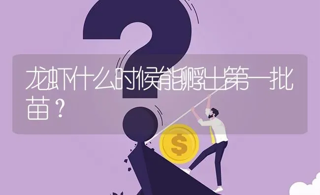 龙虾什么时候能孵出第一批苗? | 养殖问题解答