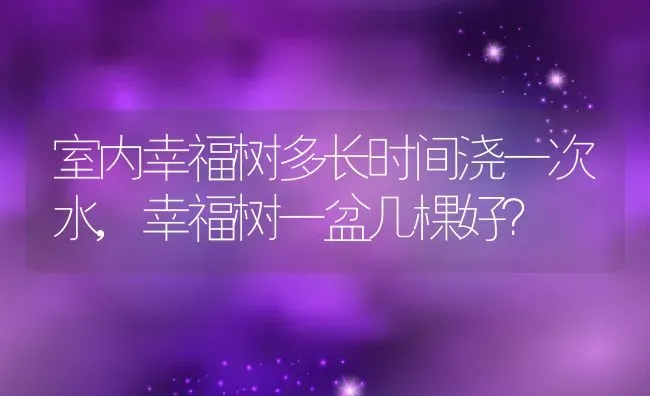 室内幸福树多长时间浇一次水,幸福树一盆几棵好？ | 养殖常见问题