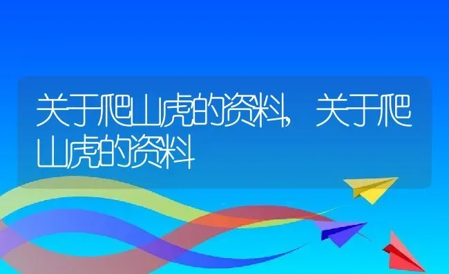 关于爬山虎的资料,关于爬山虎的资料 | 养殖常见问题