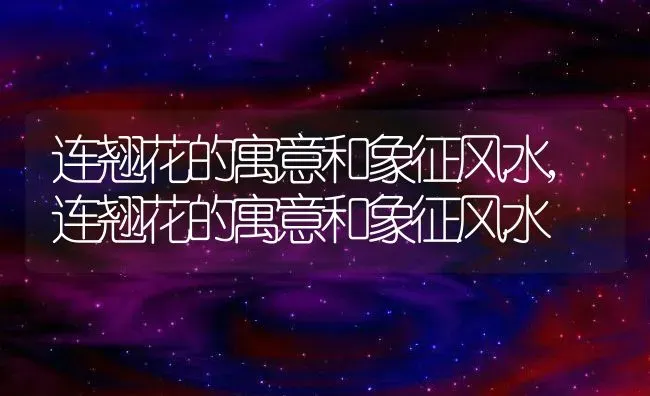 连翘花的寓意和象征风水,连翘花的寓意和象征风水 | 养殖常见问题