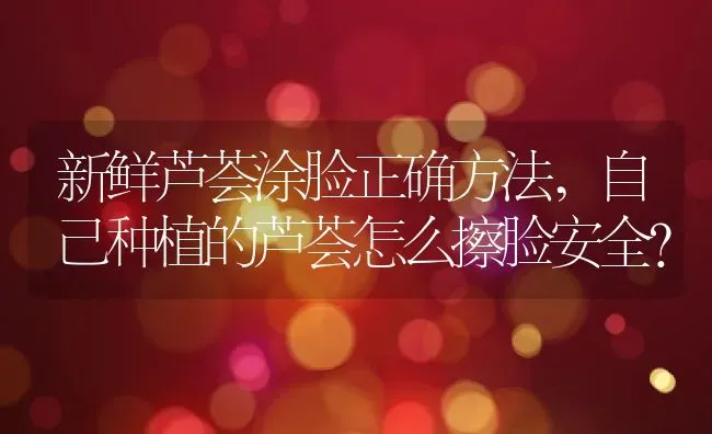 新鲜芦荟涂脸正确方法,自己种植的芦荟怎么擦脸安全？ | 养殖常见问题