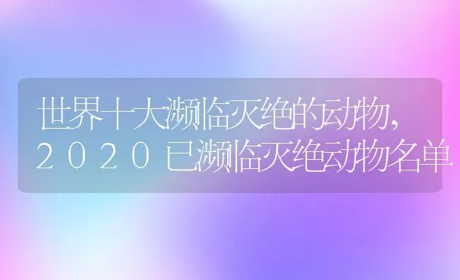 世界十大濒临灭绝的动物,2020已濒临灭绝动物名单 | 养殖常见问题