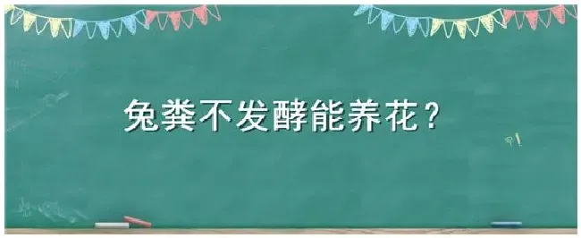 兔粪不发酵能养花 | 三农问答