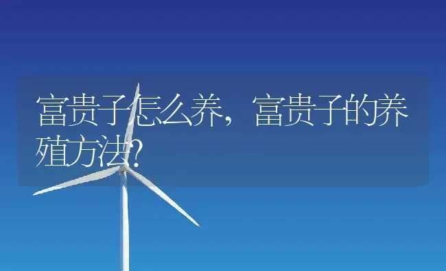 富贵子怎么养,富贵子的养殖方法？ | 养殖常见问题