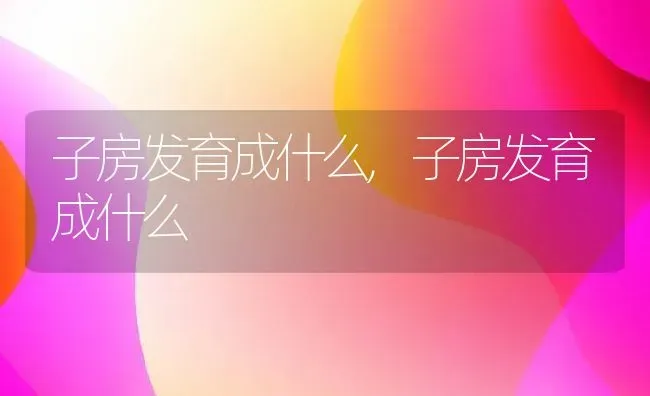 子房发育成什么,子房发育成什么 | 养殖常见问题